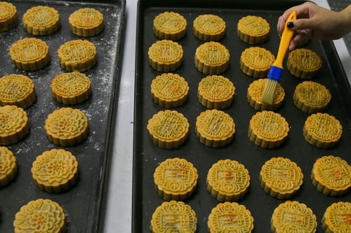 连续19年 投喂 新生,食品科技学院师生送出700余个手工月饼