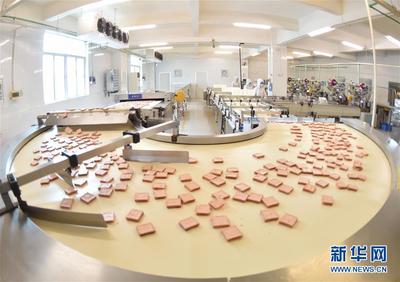 福建晋江:科技创新助力建设现代化经济体系
