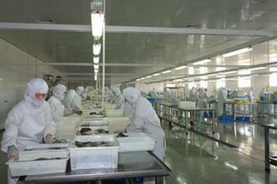 中国食品加工机械产业发展进入调整期-食品加工机械 -机械工业行业-